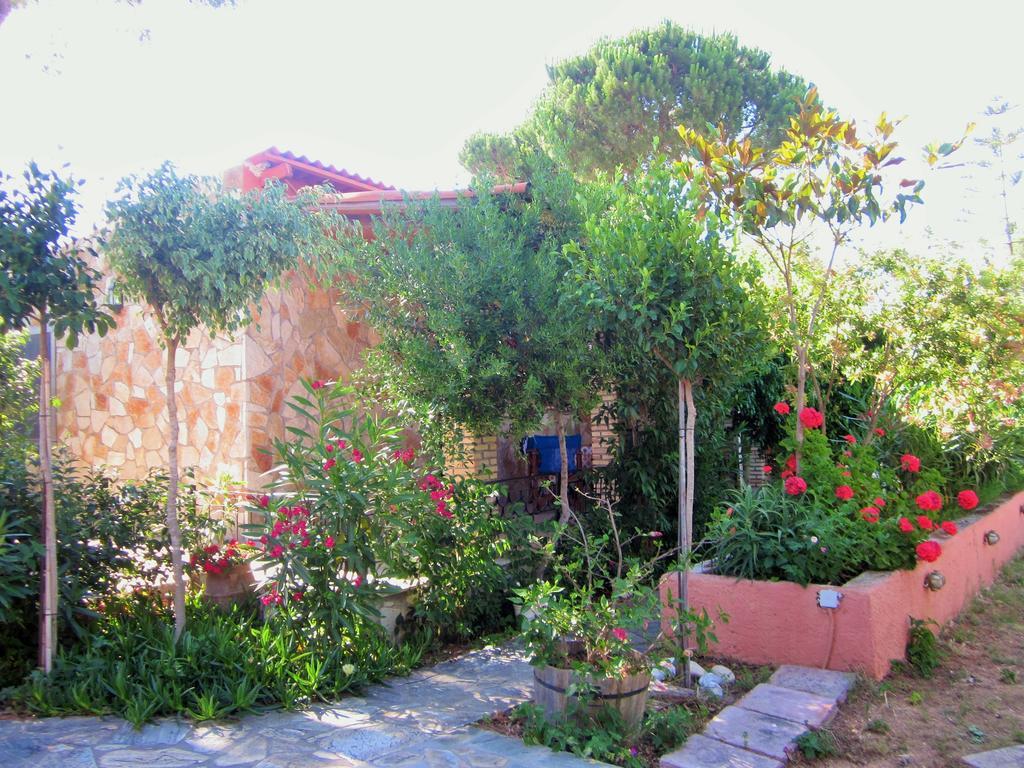 אפרטהוטל Vasilikí Artemis Vassilikos חדר תמונה