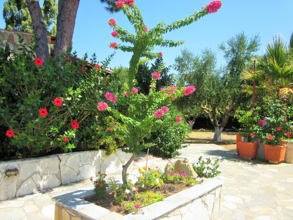 אפרטהוטל Vasilikí Artemis Vassilikos חדר תמונה